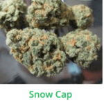 Snow Cap